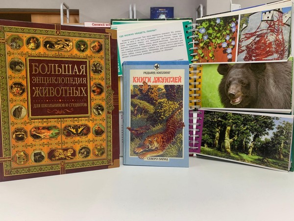 Игра «Книга джунглей»