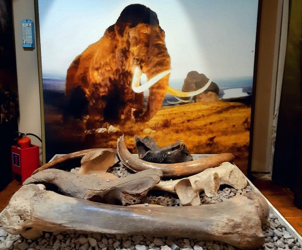 Тематическая беседа «Дорогами Индера»