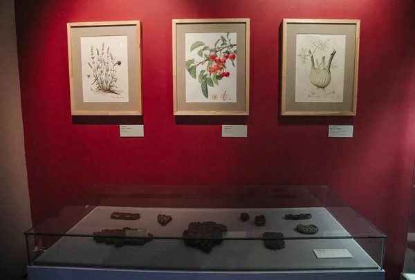 Кураторская экскурсия «Создание первого госпиталя»