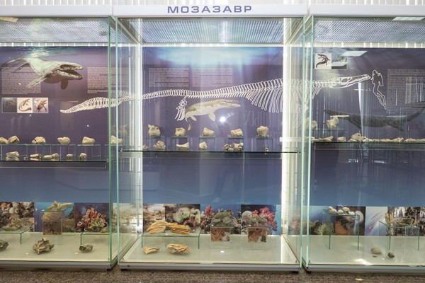 Экскурсия «Загадки древних морей»