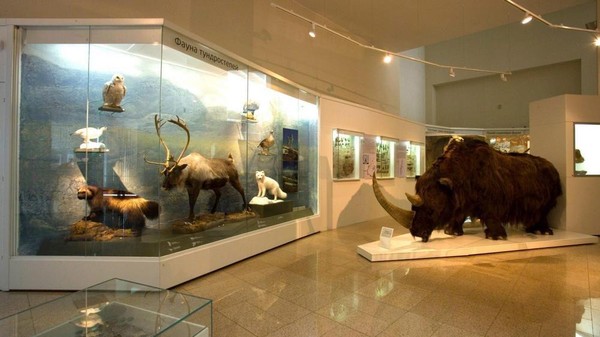 Экскурсия «По заповедным тропам»