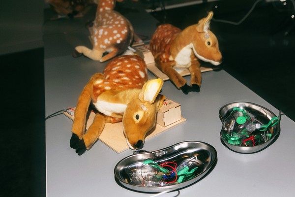 Научный новый год Sciencely