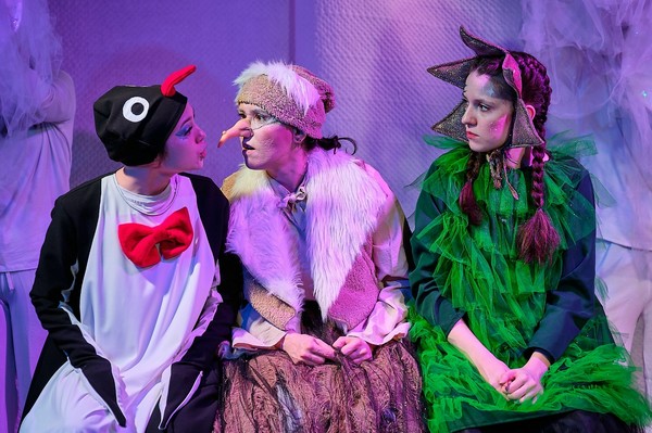 Как ёлочка пингвинёнка искала