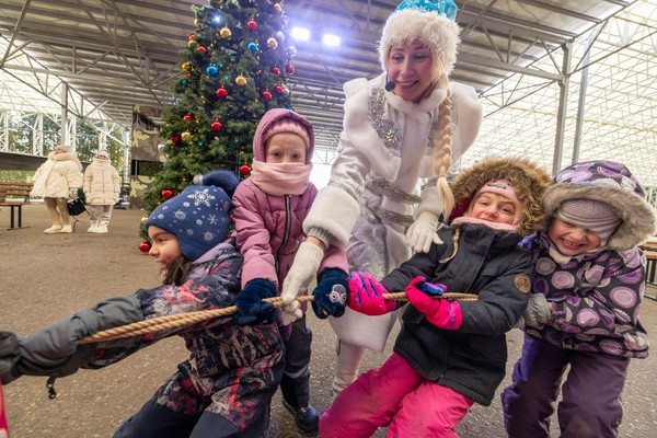 Интерактивная программа «ЁЛКА НА ГОРЕ»