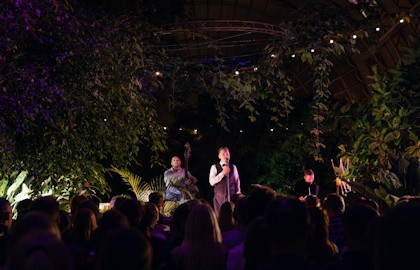 Магия свечей. Frank Sinatra. Рождественские песни