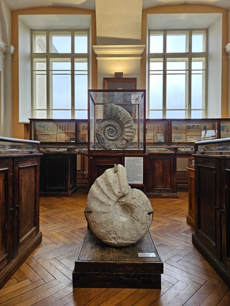 Геологоразведочный музей: карта из самоцветов и петербургский динозавр. Экскурсия со специалистом