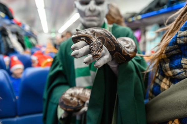 Поезд «Хогвартс-экспресс»