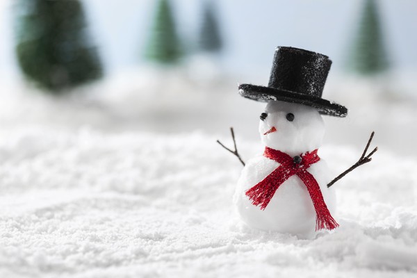 Ми-ми Новый год