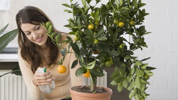 Беседа «Самые необычные»