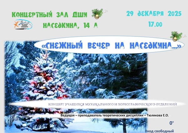 Концерт <<Снежный вечер на Наседкина>>
