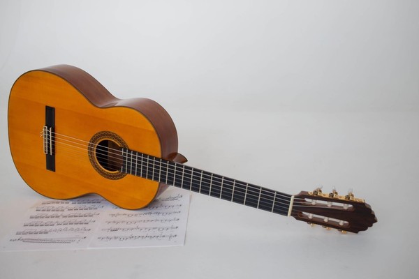 Концерт «Готовы струны, ждет моя гитара»