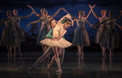 Спящая красавица