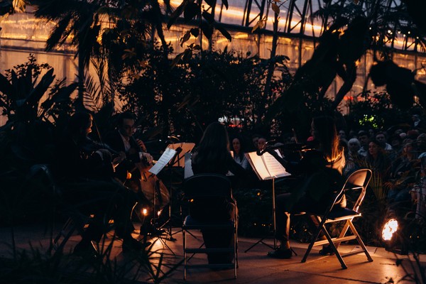 Магия свечей. Романтическая неоклассика: Людовико Эйнауди в оранжерее