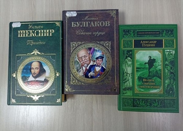 Программа «Талантов россыпь, гениев полет»