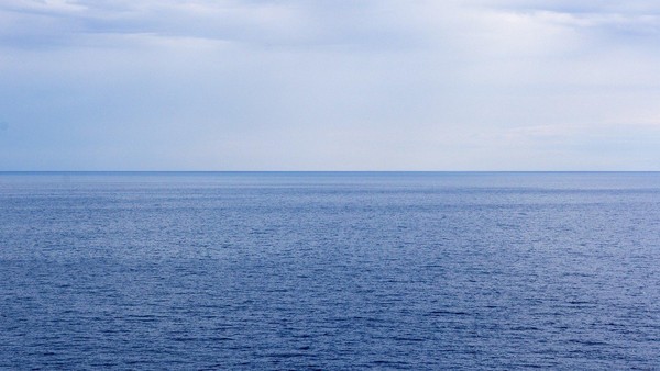 Бестиарий: глубоководные легенды