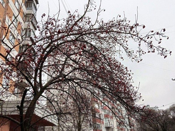 Мастер-класс «Зимнее небо»