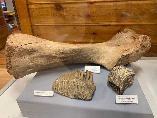 Выставка «Древние люди Приангарья»