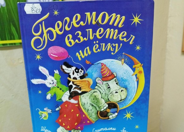 Викторина «Зимней сказочной порой»