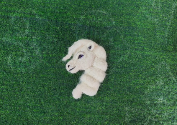 Мастер-класс по войлоковалянию «Лошадка – символ 2026 года»