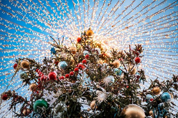 Новогодняя Сказка: Тайна «Оленьего Экспресса»