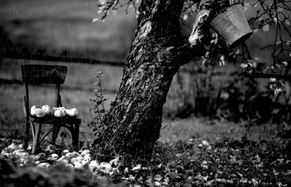 Андрей Ильин