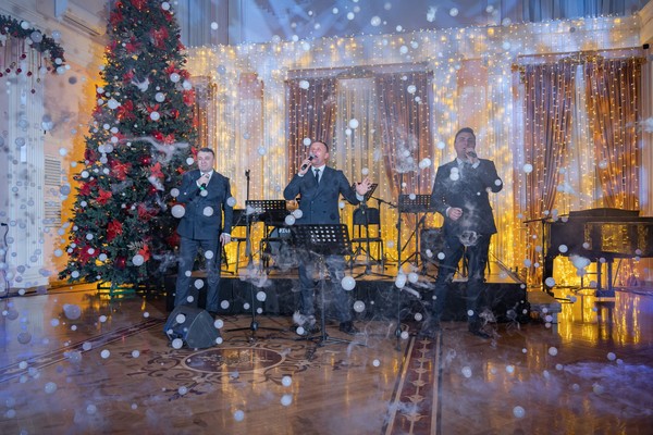 Концерт «Новогодний маскарад. В снежном вихре оперетт!»