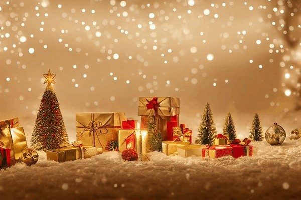 Концерт «Новый год в Губернском»