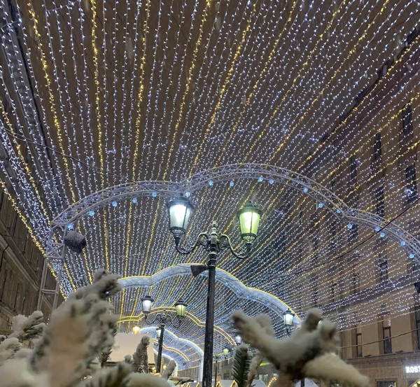 Встречаем Новый год в Петербурге