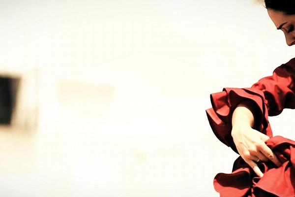 Новогодний концерт. Танцевальное шоу. Фламенко Андалусии