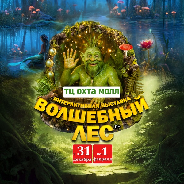 Волшебный лес