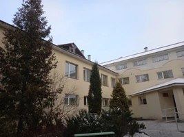 «Украшаем елку»