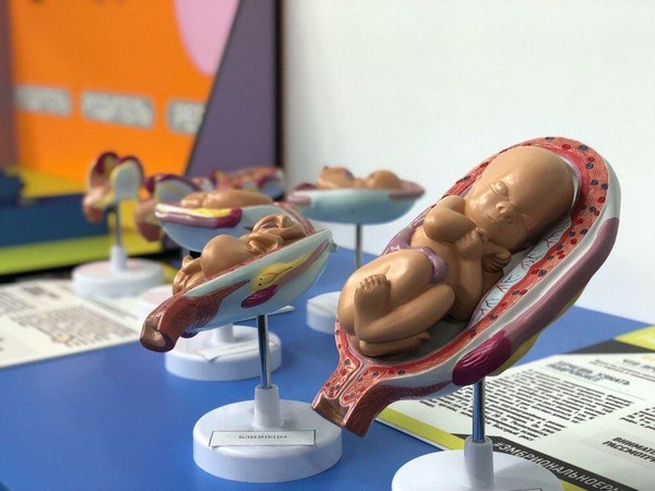 Выставка «Внутри человека»