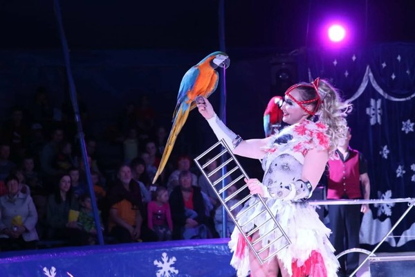 Цирк на льду