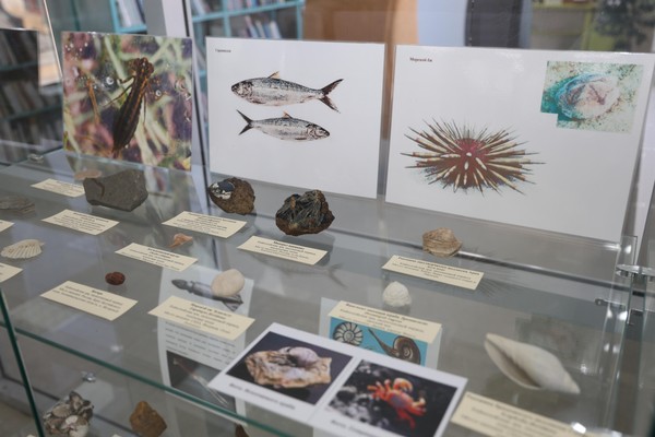 Интерактивная лекция «Путешествие в мир окаменелостей и минералов»