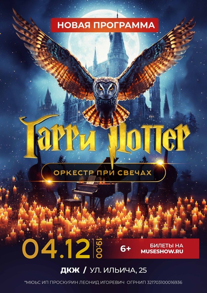 MUSE: Гарри Поттер г.Казань