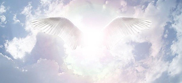 Региональный конкурс «Распахнутые крылья» для людей с ОВЗ