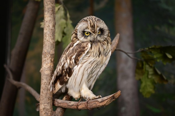 Интерактивное занятие «Спасем жизнь на Земле»