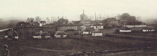 Тематическая беседа «Воронежская губерния – родина подсолнечного масла»