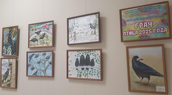 Выставка «Грач – птица 2025 года»