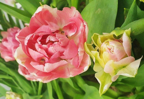 Одноактный спектакль «День матери»