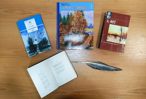 Программа «Читаем Фета»