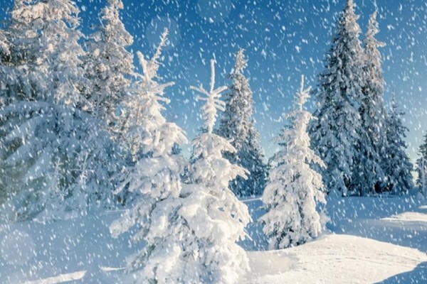 «Зима пришла!» мастер-класс по изобразительному искусству