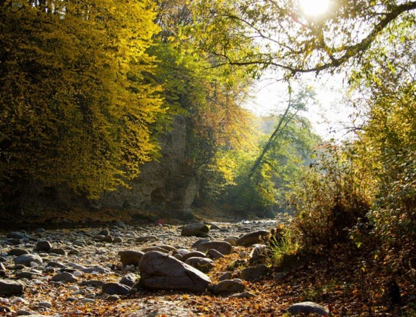 Выставка «С чего начинается Родина»