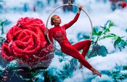 Catwalk. Фестиваль воздушной гимнастики и пилонного искусства