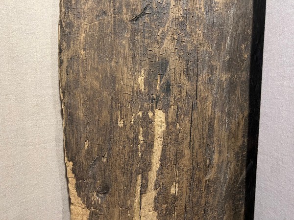 «Острогожская крепость воеводы Ф. Ю. Арсеньева на Белгородской засечной черте»