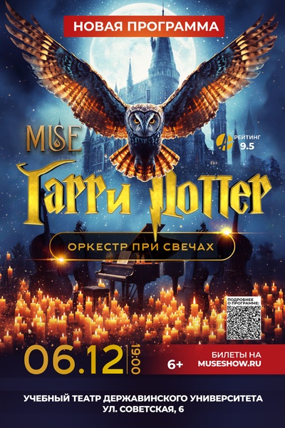 MUSE: Гарри Поттер г.Тамбов