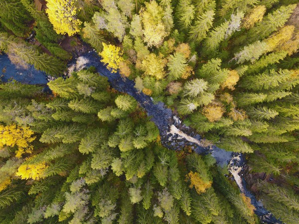 В Рускеалу на ретропоезде: Водопады и мраморный каньон