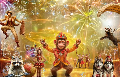 Цирк «Бурлеск»