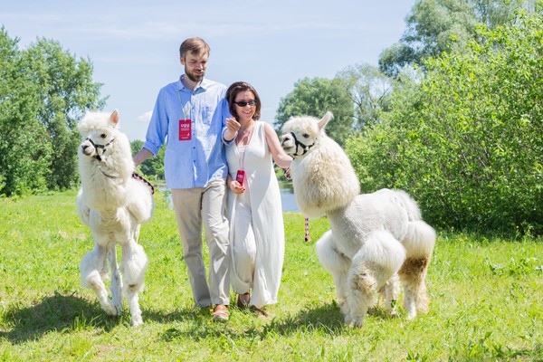 Альпака терапия