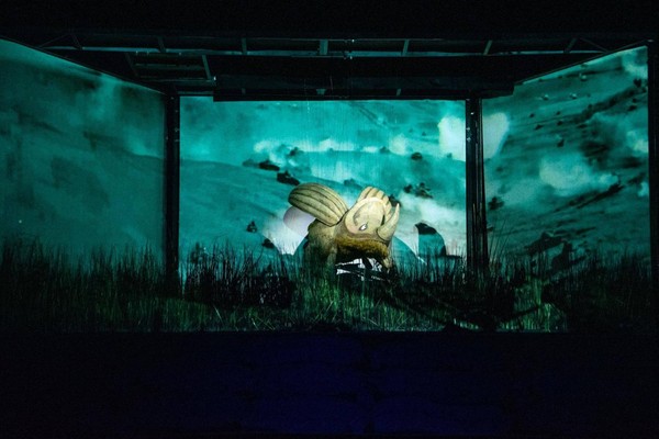 Спектакль «Похождения жука-носорога»